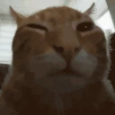 buh emote