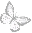 white_butterfly emoji