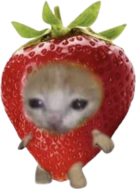 strawberry_catto emote