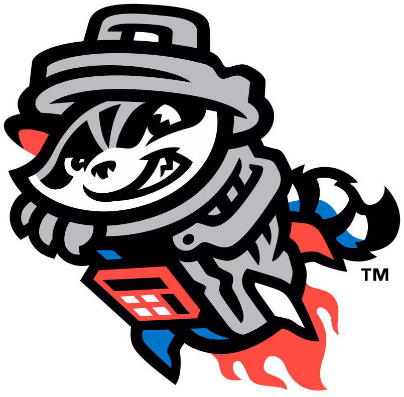 RaccoonPanda emote