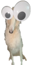 deadahhcuh static emote