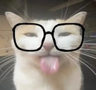 bobaBleh emote