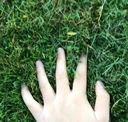 TouchingGrass emote