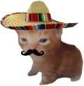 Roberto emote