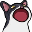 TuxedoPopCat emote