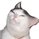 CE_Slumped emote