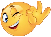 HaltDeineFresseDuDummerBastard emote