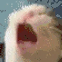 WAYTOOANGY emote