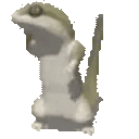lizardPls animated emote