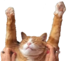 HOORAY emote