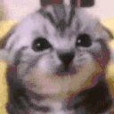 mortgage animated emote