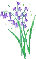 Aesthetic_Purple_Flower emote