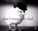 dontevenjokelad emote