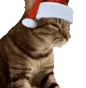 catVibe emote