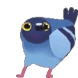 pigeondance emote