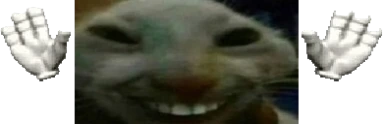 xddcaught emote