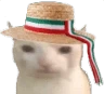 ItalianCat emote