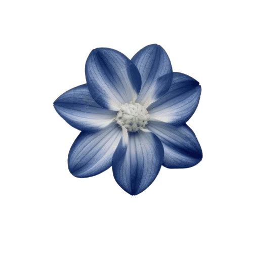blue_flower emote