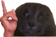hesTuh emote
