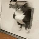 ChonkArrive emote