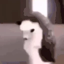 erizob emote