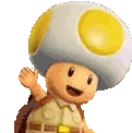 ToadWave emote