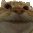 yes emoji