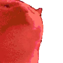catRAVE emote