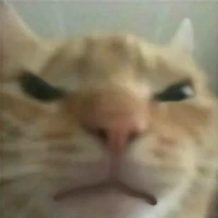 gusicangry emote