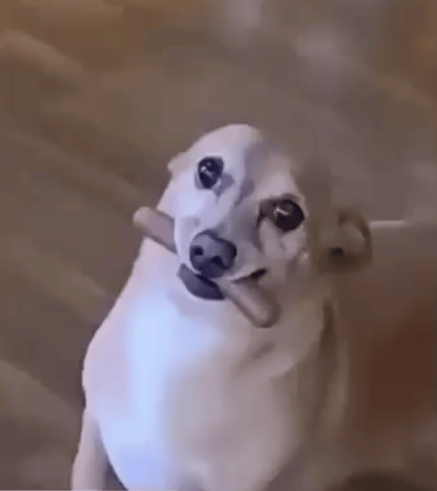 SAM emote
