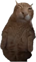 BUH emote