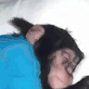 SleepyMonkey emote