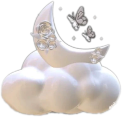 3D_mooncloud static emote