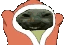 xddblankies emote