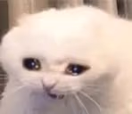CryCat emote