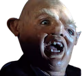 sloth emote