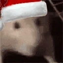 ratJAM emote