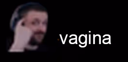 vagina emote