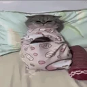 dih emote