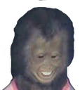 MonkeyMike emote