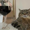 catWine emoji