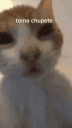 toma_chupete animated emote