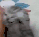 dota animated emote