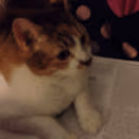 CE_makeitrain2 emote
