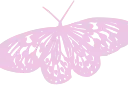 butterfly emote