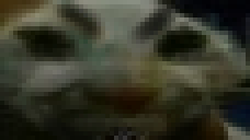 xddMadge static emote