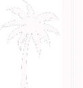 palmtreeIDS emote