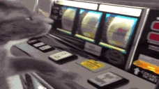 catGAMBLING emote