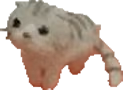 el_wiwi emote