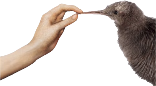 Silencio emote
